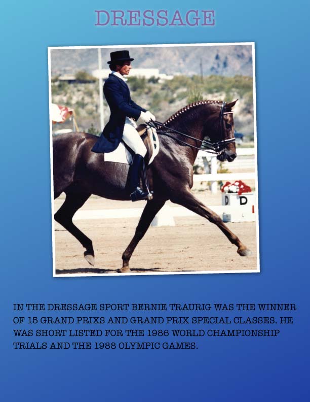 dressage